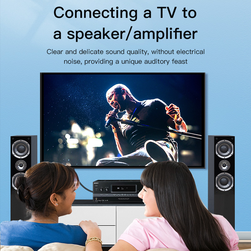 CHOSEAL RCA Cable Digital Coax - Home Cinema Tv review and price